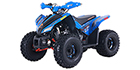 2026 DenagoPowersports Trailhawk 10FI