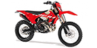 2026 Rieju MRRACING 300i