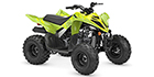 2027 Yamaha Raptor 110