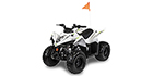 2027 ArcticCat Alterra110 2x4